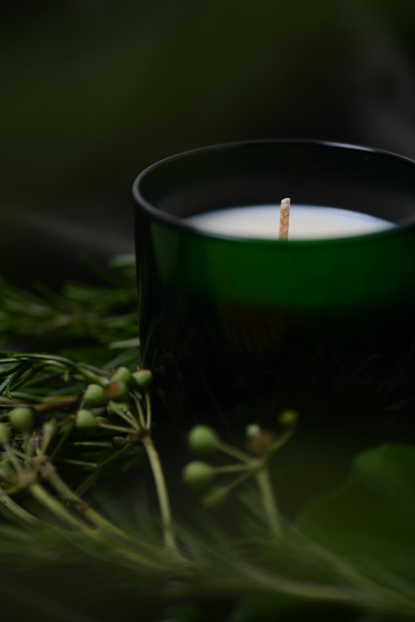 Christmas Candle Set - 1 Rosemary Candle & 1 Lavender Candle 2 x 300ml