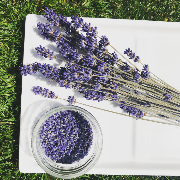 Calm: Lavender